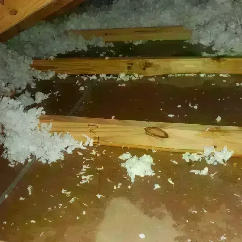 Attic Water Damage in Ironwood, MI