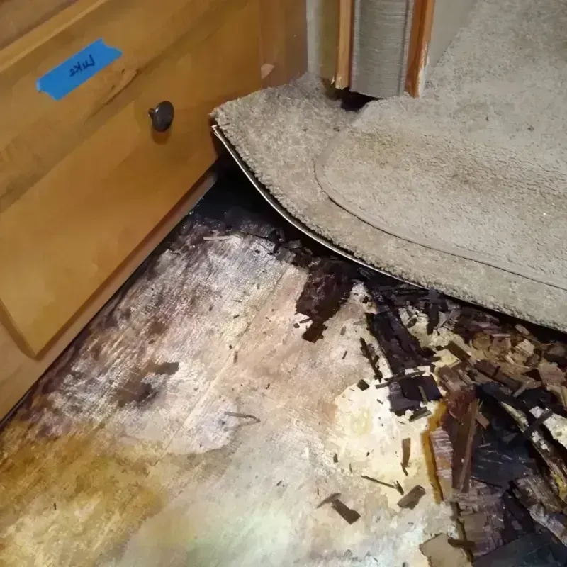 Best Wood Floor Water Damage Service in Ironwood, MI